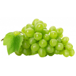 Vynuogės, žaliosios
