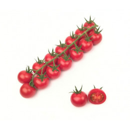 Pomidorai avietiniai ant...