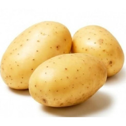 Bulvės, naujo derliaus