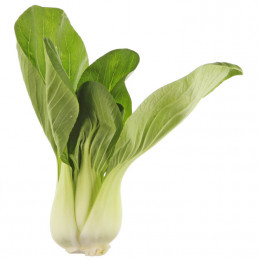 Kopūstai Pak-choi 1vnt