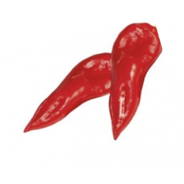 Aitrioji paprika (stambesnė)