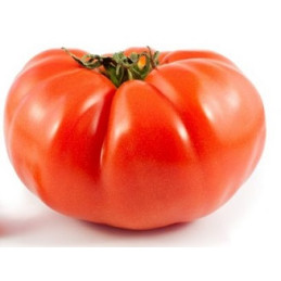 Pomidorai BBB