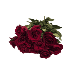 Raudonos rožės 11vnt