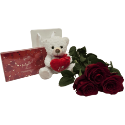 Dovana Valentinas su meškučiu