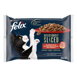 Katėms Felix  Deliciously...