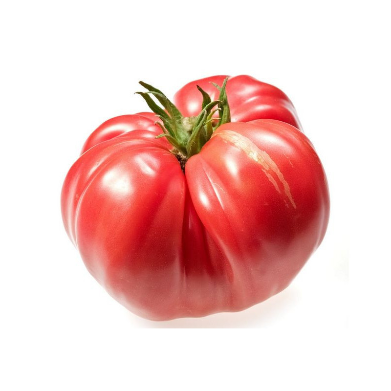 Pomidorai, avietiniai, briaunuoti