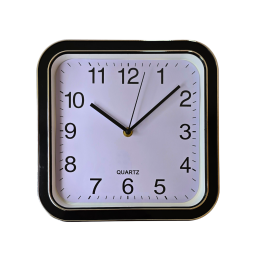 Sieninis laikrodis 25 x 25 cm