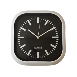 Sieninis laikrodis 30 x 30 cm