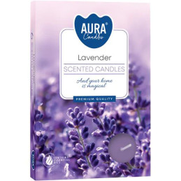 Plauk.žvakučių rinkinys 6vnt