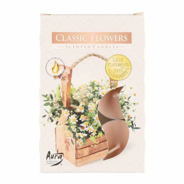 Kvepiančios žvakuutės...