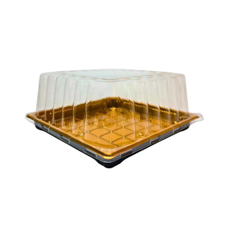 Plastikinis padėklas su dangteliu 1vnt užkandžiams 22 x 22 x 10 cm