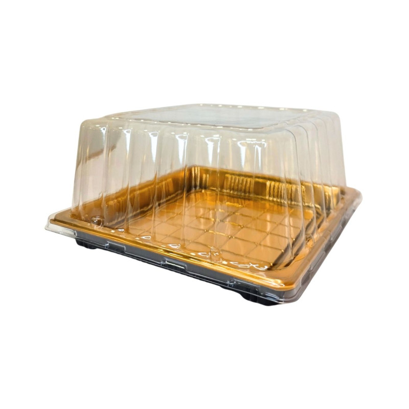 Plastikinis padėklas su dangčiu 1vnt