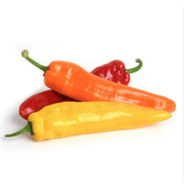 Saldžioji paprika pailga, MIX, 500g (fasuota)