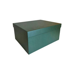 Popierinė dovanų dėžutė žalia 25,5 x 21 x 12 cm, 1 vnt