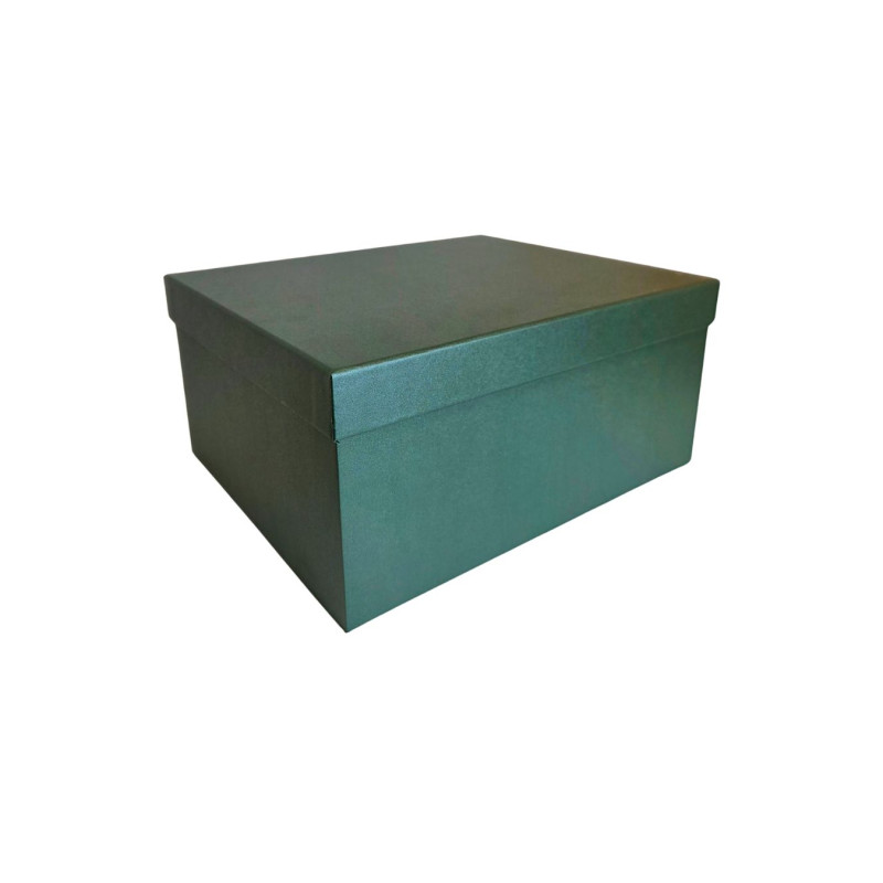 Popierinė dovanų dėžutė žalia 23,5 x 19 x 11 cm, 1 vnt