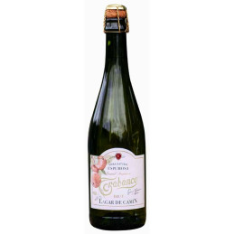 Gazuotas sidras Lagae De Camin Natural Espumosa (5%), 750 ml