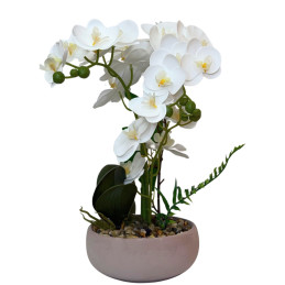 Dirbtinė orchidėja vazone
