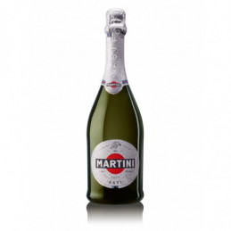 Putojantis vynas MARTINI...