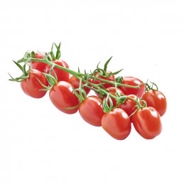 Pomidorai mini slyviniai...